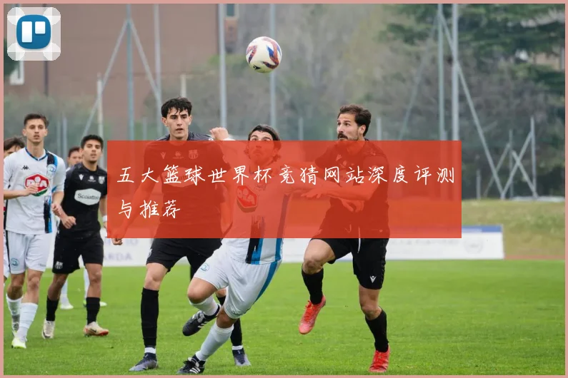 五大篮球世界杯竞猜网站深度评测与推荐