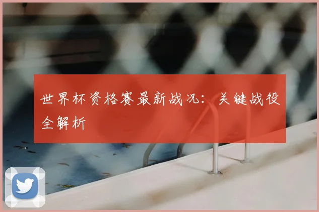 世界杯资格赛最新战况:关键战役全解析