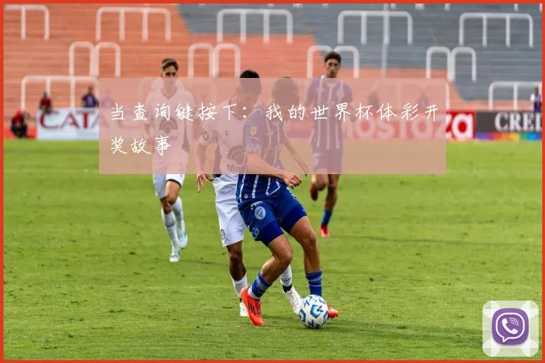 当查询键按下：我的世界杯体彩开奖故事
