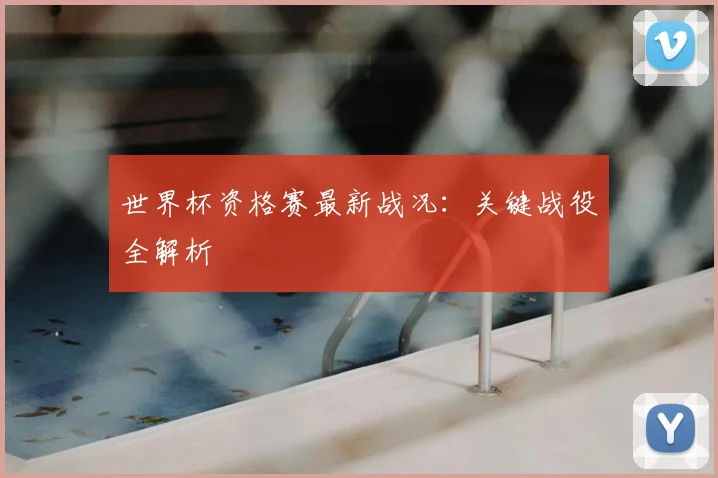 世界杯资格赛最新战况:关键战役全解析