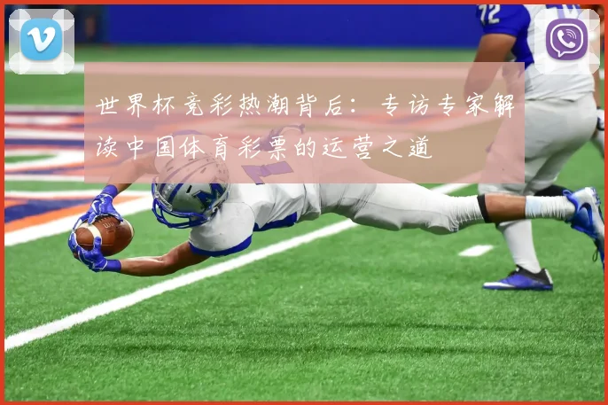 世界杯竞彩热潮背后:专访专家解读中国体育彩票的运营之道